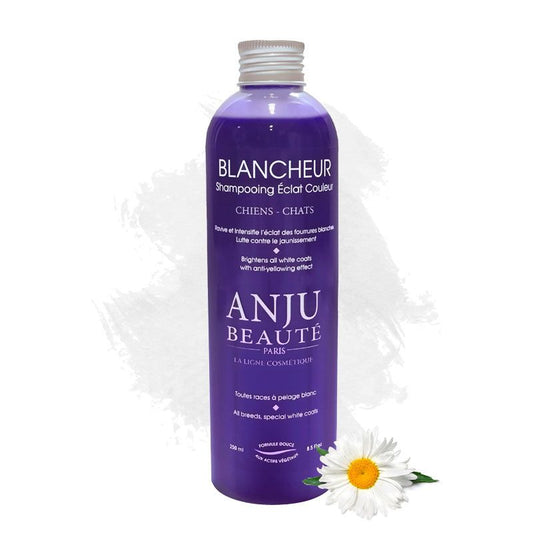 Anju Beaute Blancheur Shampoo