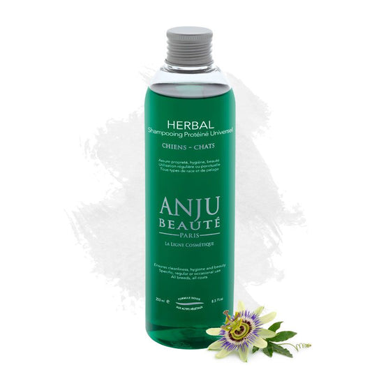 Anju Beaute Herbal Shampoo