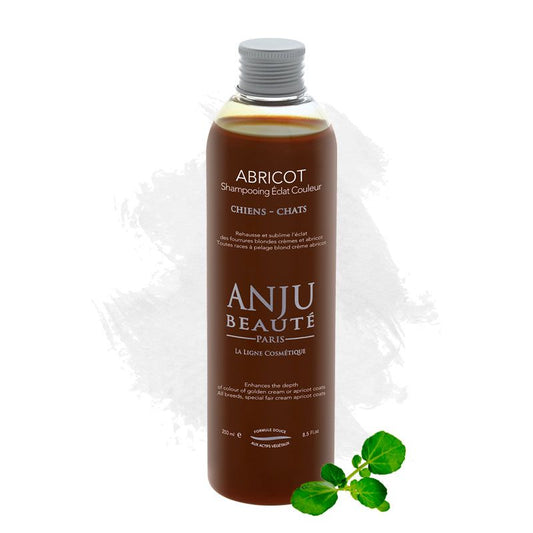 Anju Beaute Abricot Shampoo