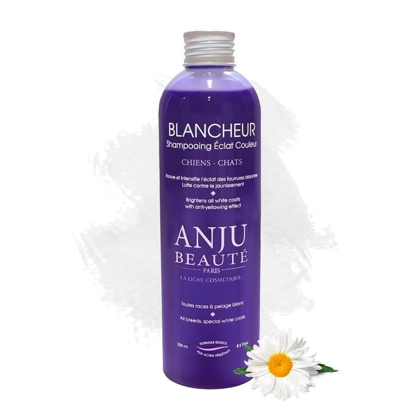 Anju Beaute Blancheur Shampoo