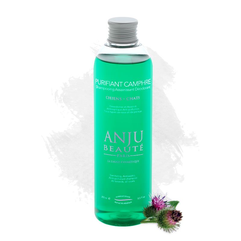 Anju Beaute Purifiant Shampoo